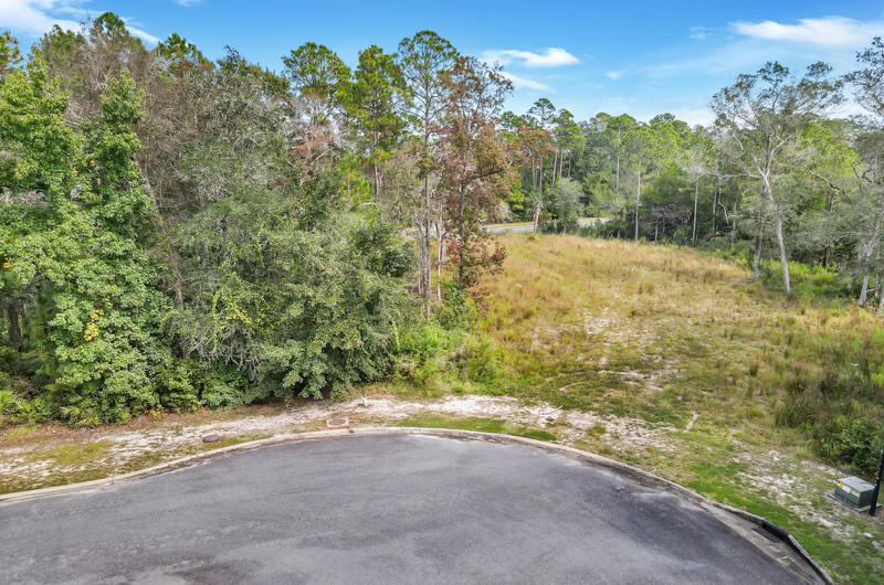 Lot 102 Maiden Creek Landing, Waverly, GA 31565 Elevated Coastal