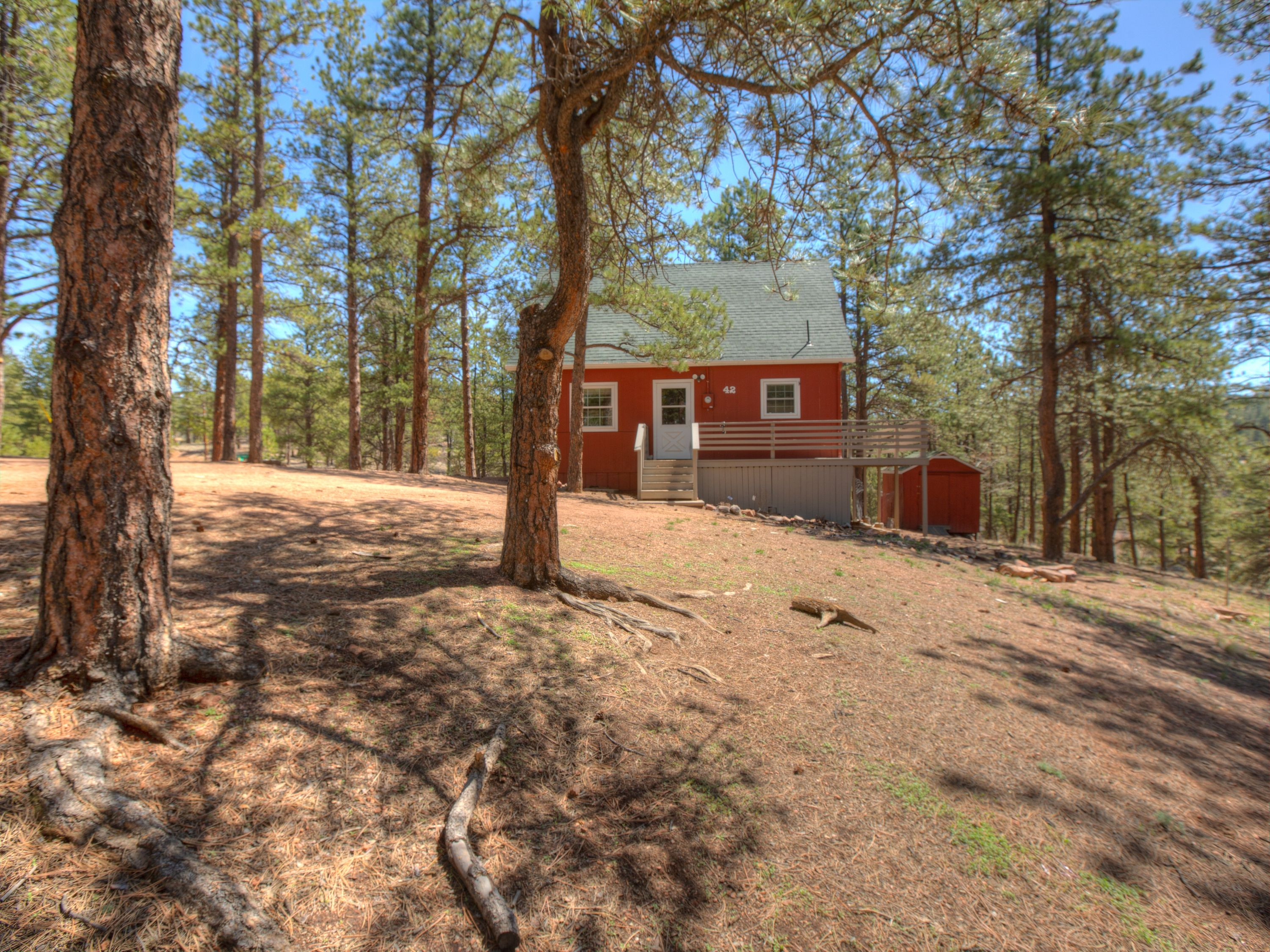 42 Kiowa Creek Trail, Florissant, CO 80816 CVImages LLC Tour