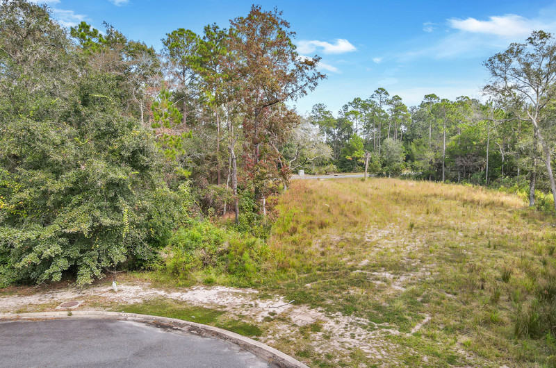 Lot 102 Maiden Creek Landing, Waverly, GA 31565 Elevated Coastal