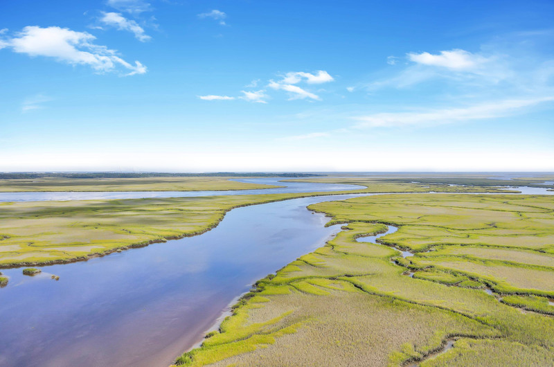 Lot 102 Maiden Creek Landing, Waverly, GA 31565 Elevated Coastal